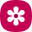 Samsung Gallery logo icon